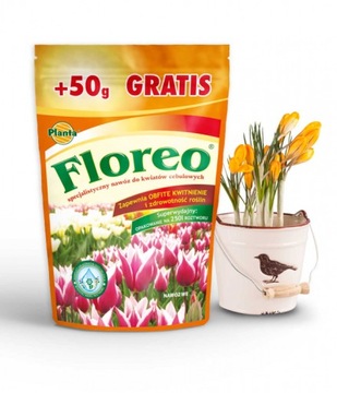 NAWÓZ FLOREO KWIATY CEBULOWE 200g + 50g GRATIS