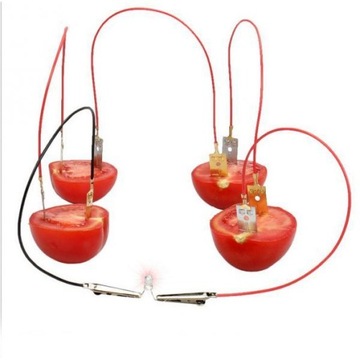 Креативный генератор фруктов своими руками