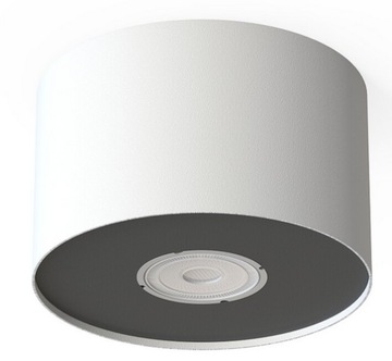 ПОТОЛОЧНЫЙ СВЕТИЛЬНИК, ТОЧЕЧНАЯ ТРУБА, ПОТОЛОЧНЫЙ СВЕТИЛЬНИК, ОТРАЖАТЕЛЬ, БЕЛЫЙ