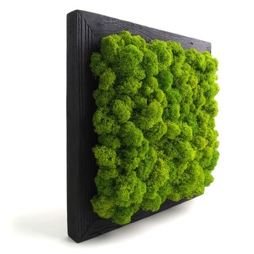 Финский мох 500г.