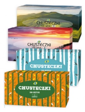 LEWIATAN CHUSTECZKI HIGIENICZNE 100 SZT KARTONIK