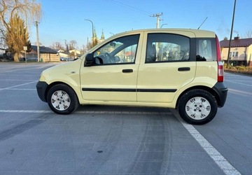 Fiat Panda II Hatchback 5d 1.1 MPI 54KM 2010 Fiat Panda Fiat Panda 1.1 Active, zdjęcie 5