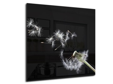 panel szklany między meble dekor 60x60 dmuchawiec