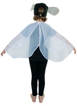 Mucha skrzydła muchy