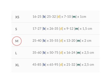 amiplay Регулируемая подвесная система Guard Samba M Бирюзовый