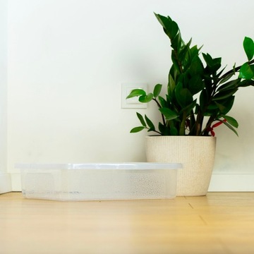 4X ПЛАСТИКОВЫЙ КОНТЕЙНЕР С ЗАКРЫТОЙ КРЫШКОЙ ПРОЗРАЧНАЯ КОРОБКА