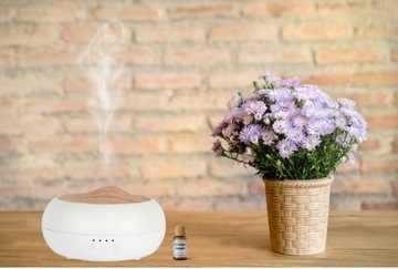 Лидер среди фирменных эко-масляных диффузоров AROMA ZEN.