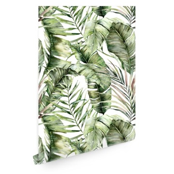 Tapeta liście tropikalne monstera T01645