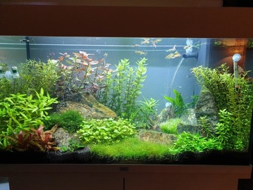 GREEN ROCK SKAŁA ZIELONA DO AKWARIUM NA DEKORACJE 25 kg 5-10-15-20cm