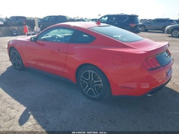 Ford Mustang VI 2023 Ford Mustang Ford Mustang EcoBoost Fastback 2.3 Benzyna 310KM, zdjęcie 3