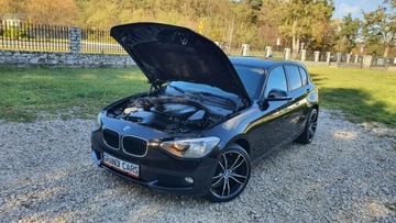 BMW Seria 1 F20-F21 Hatchback 5d 116d 116KM 2014 BMW 116 2.0d 116KM # Navi # Climatronic # PDC #, zdjęcie 31
