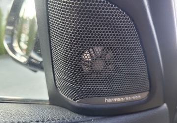 BMW X6 F16 Crossover xDrive 40d 313KM 2016 BMW X6 Bmw X6 Xdrive40D 3.0 Diesel 313KM, zdjęcie 28