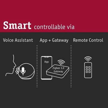 Reflektor ogrodowy Plug & Shine SHIRA LED Zigbee RGBW 6.5W 24V IP65 PL94849