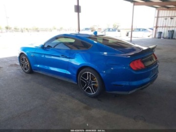 Ford Mustang VI Fastback Facelifting 5.0 Ti-VCT 460KM 2021 Ford Mustang GT Fastback 2021 5.0l 5.0 Benzyna 460KM, zdjęcie 3