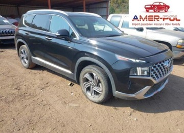 Hyundai Santa Fe IV 2023 Hyundai Santa Fe Sel 2023 2.5l 2.5 Benzyna 191KM