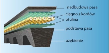 PAS KLINOWY ZĘBATY PASEK OPTIBELT AX/X13 x 880