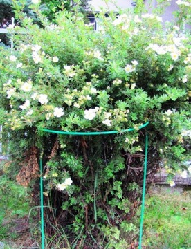 ПЕРГОЛА САДОВАЯ ОПОРА ДЛЯ ЦВЕТОЧНЫХ РАСТЕНИЙ 115 СМ