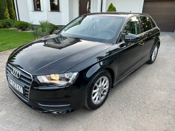 Audi A3 8V Hatchback 3d 1.6 TDI clean diesel 110KM 2014 Audi A3 2015R Skóra Klimatronik Tempomat Navi Alu Felgi 6-Biegów Bezwypadek, zdjęcie 27