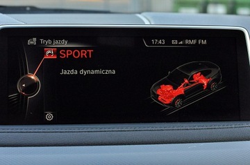 BMW X6 F16 Crossover xDrive30d 258KM 2015 BMW X6 M_Pakiet 30d XDrive HEAD-UP harman/kardon salon PL, zdjęcie 26