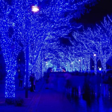 РОЖДЕСТВЕНСКИЕ ОГНИ 500LED НАРУЖНЫЕ СВЕТЫ ТОЛЩИНОЙ 31М ГОЛУБОЙ СИНИЙ СВЕТ