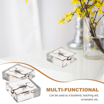 Образец украшения стола «Скорпион» в области биологии смолы