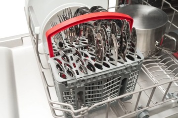 Amica Fusion Payber Set +Mixth Spection +Demember