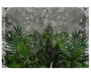 Fototapeta 416x290cm Beton zielone liście retro