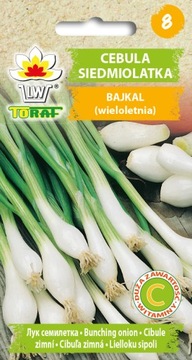 Cebula Siedmiolatka Bajkał szczypiorek Toraf 3g nasiona cebuli wieloletnia
