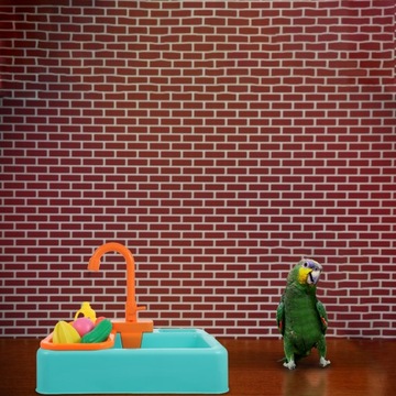 ЖИВОТНЫЕ ПОПУГАИ ВАННА ПТИЦЫ ИГРУШКИ МАШИНЫ