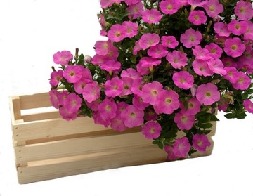 Деревянный ящик для балкона Natural Flowers ХИТ