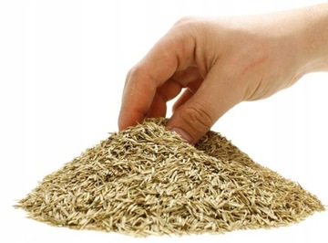 Самозагущающаяся трава, устойчивая к вытаптыванию, 5 кг