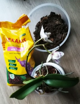 Субстрат для орхидей и орхидей Seramis Pine Bark Nitro Lime Substrate 7л