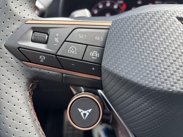 Cupra Formentor Crossover 1.5 TSI 150KM 2025 Cupra Formentor 1.5 eTSI 150 KM 7-biegowa automaty, zdjęcie 23