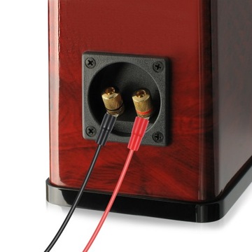 КЛЕММНЫЕ РАЗЪЕМЫ 8GA GOLD SPOD ДЛЯ АКУСТИЧЕСКИХ КАБЕЛЕЙ