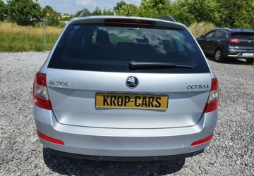 Skoda Octavia III 2017 Skoda Octavia Skoda Octavia 1.6 TDI Edition 1.6 Diesel 110KM, zdjęcie 6