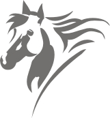 Отражатели, ЖЕЛЕЗНЫЕ НАШИВКИ, Лошади, Веселая нашивка