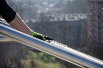 ПЛОТНЫЕ ПТИЦЕВЫЕ ШИПЫ ОТ ПРОИЗВОДИТЕЛЯ AVIK R140