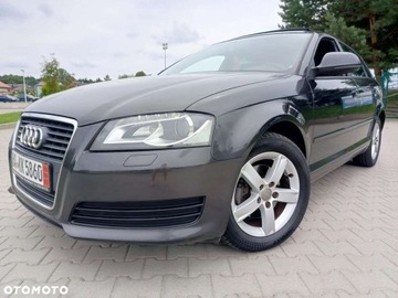 Audi A3 8P Hatchback 3d 1.4 TFSI 125KM 2009 Audi a3 Audi A3 1.4 TFSI S line Sportpaket 1.4 Benzyna 125KM