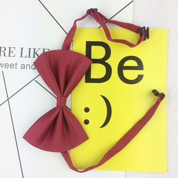 10 шт., детский галстук-бабочка для мальчиков и девочек на свадьбу и выпускной, галстук-бабочка, винно-красный