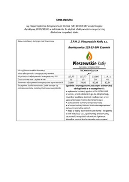 Печные котлы с подачей 12 кВт 5 класс на пеллетах Technix Pell Lux Grant