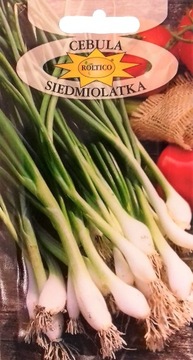 Cebula siedmiolatka mrozoodporna nasiona 2g