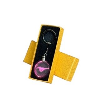 Ключ -ключ кольцо, светящиеся с помощью светодиода Mustang