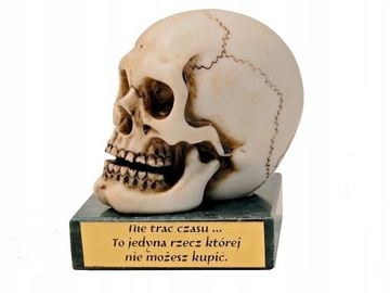 CZASZKA MEMENTO MORI, BYĆ ALBO NIE BYĆ DEDYKACJA