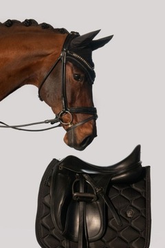 Eskadron Frapak Highgloss Black 24H [R против/Full]