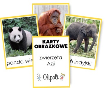 KARTY OBRAZKOWE zwierzęta Azji REALNE ZDJĘCIA 7x10cm MONTESSORI