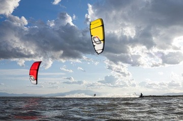 Ozone Edge V12 19.0 - разные цвета