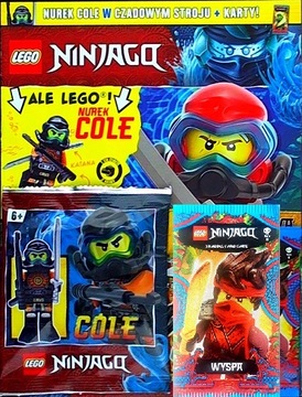 LEGO NINJAGO 10/2021+ COLE 892180 njo700+ 6 KART