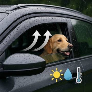 Heko Windows Hekeko Ford S-Max 5d 2006-2010 4-Pad