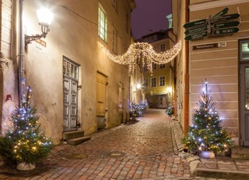 SOPLE ZEWNĘTRZNE 10m 250 LED GĘSTE LAMPKI ŚWIĄTECZNE | CIEPŁE BIAŁE STAŁE