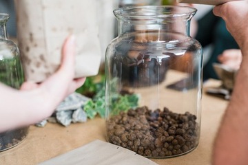 ЛЕС В СТЕКЛЯННОЙ БАНКЕ СТАРТОВЫЙ НАБОР ПОДСУБТРАТА 10 шт.